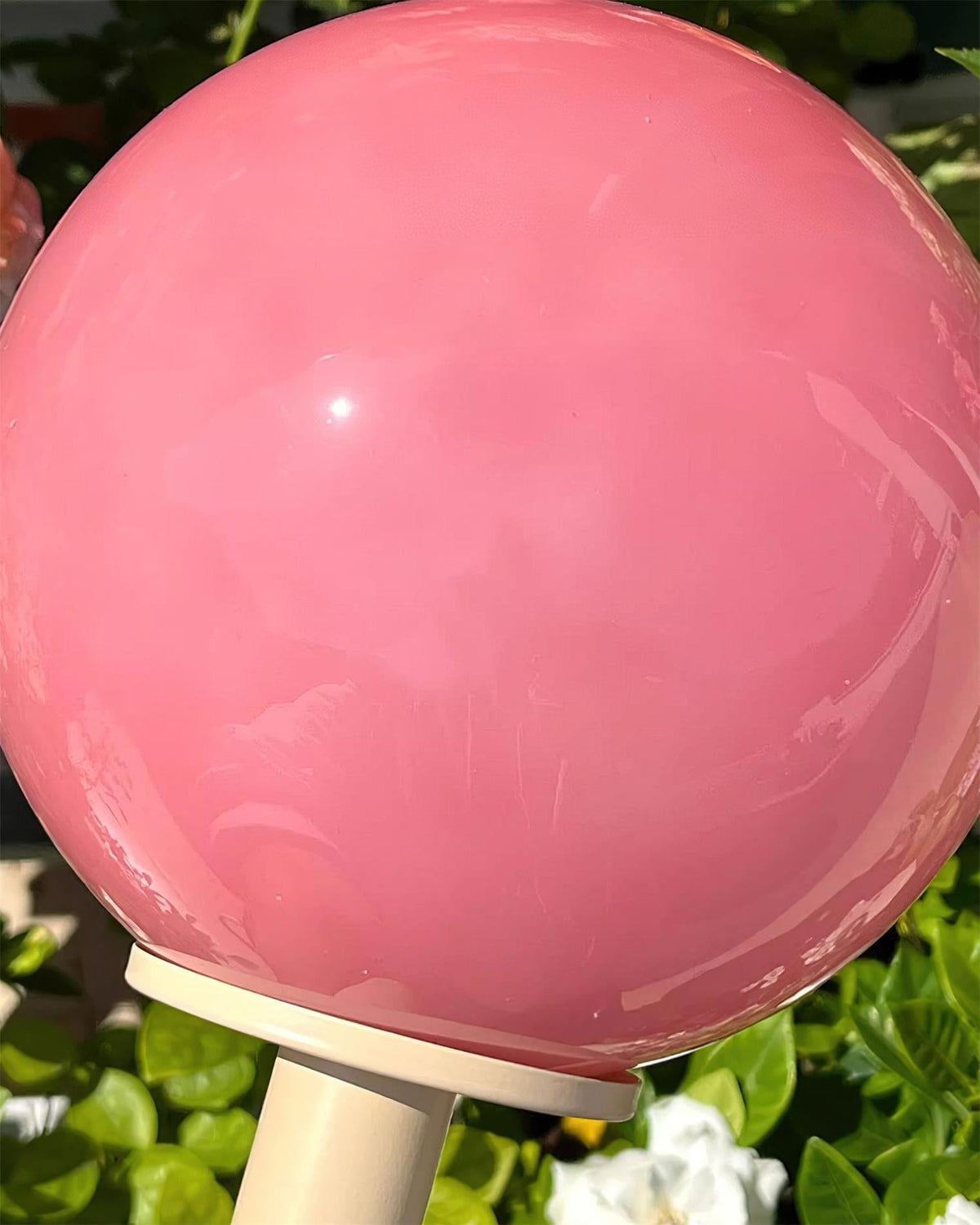 Viraoiella Lampe de Table
