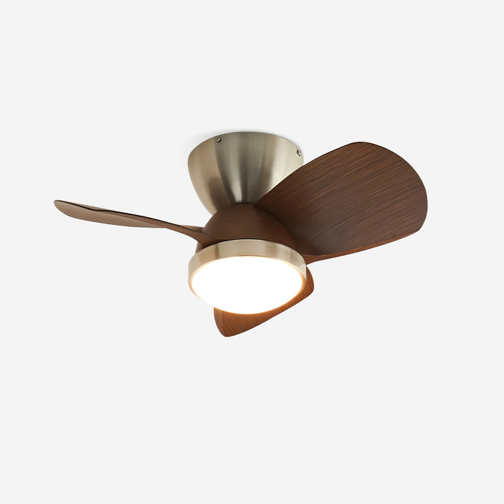 Lioraleria Ventilateur de Plafond avec Éclairage