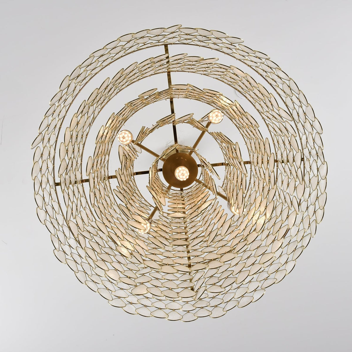 Gavia Lustre Élégant de Luxe