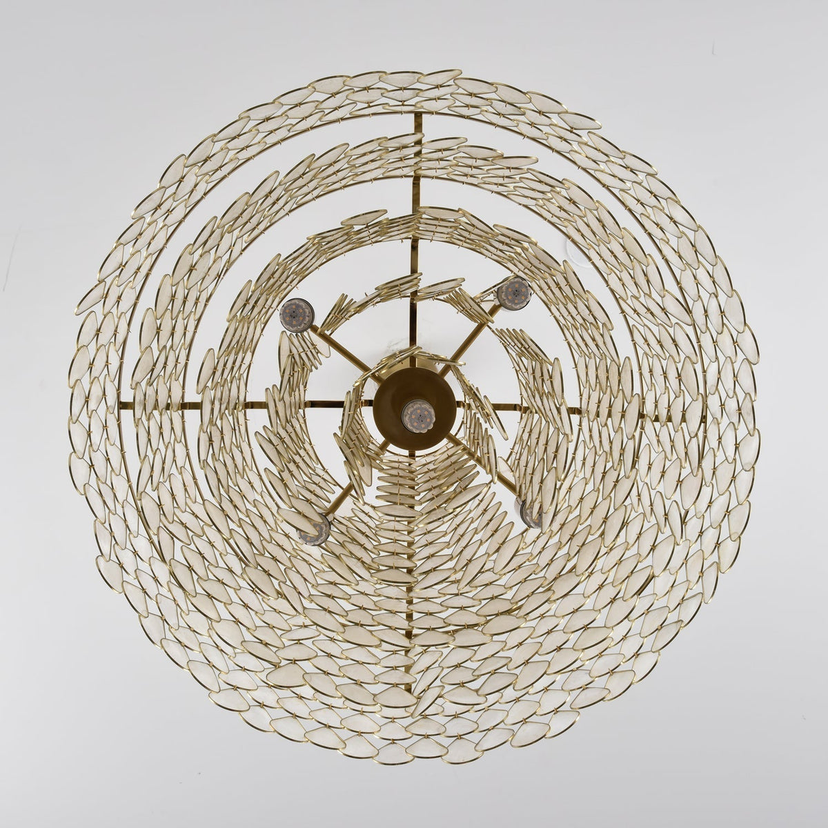 Gavia Lustre Élégant de Luxe