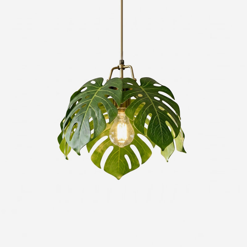 Miranelia Suspension