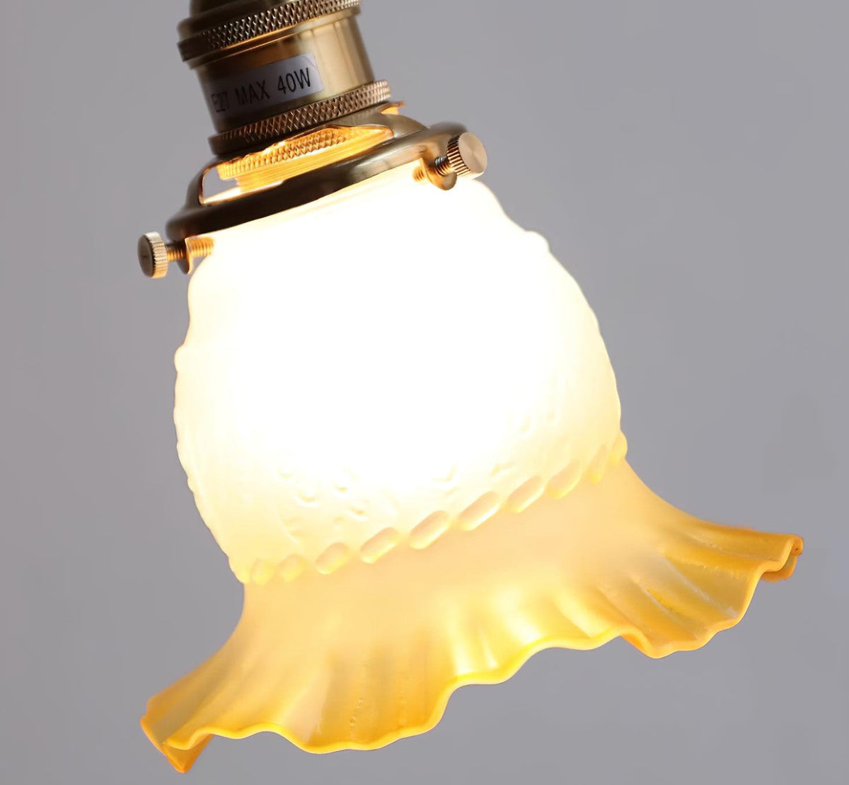 Frodia Suspension