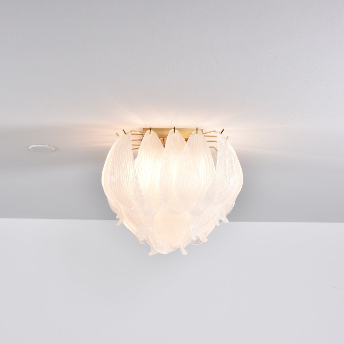 Orlius Plafonnier Murano Pétale Soufflé-Main Verre Applique Plafond