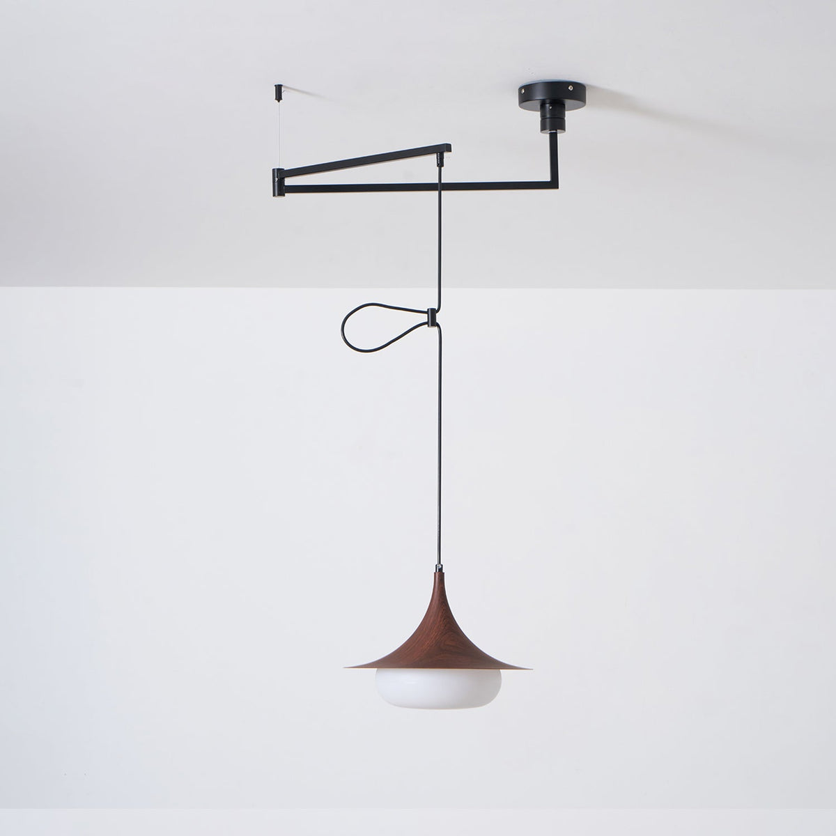 Selanenne Suspension