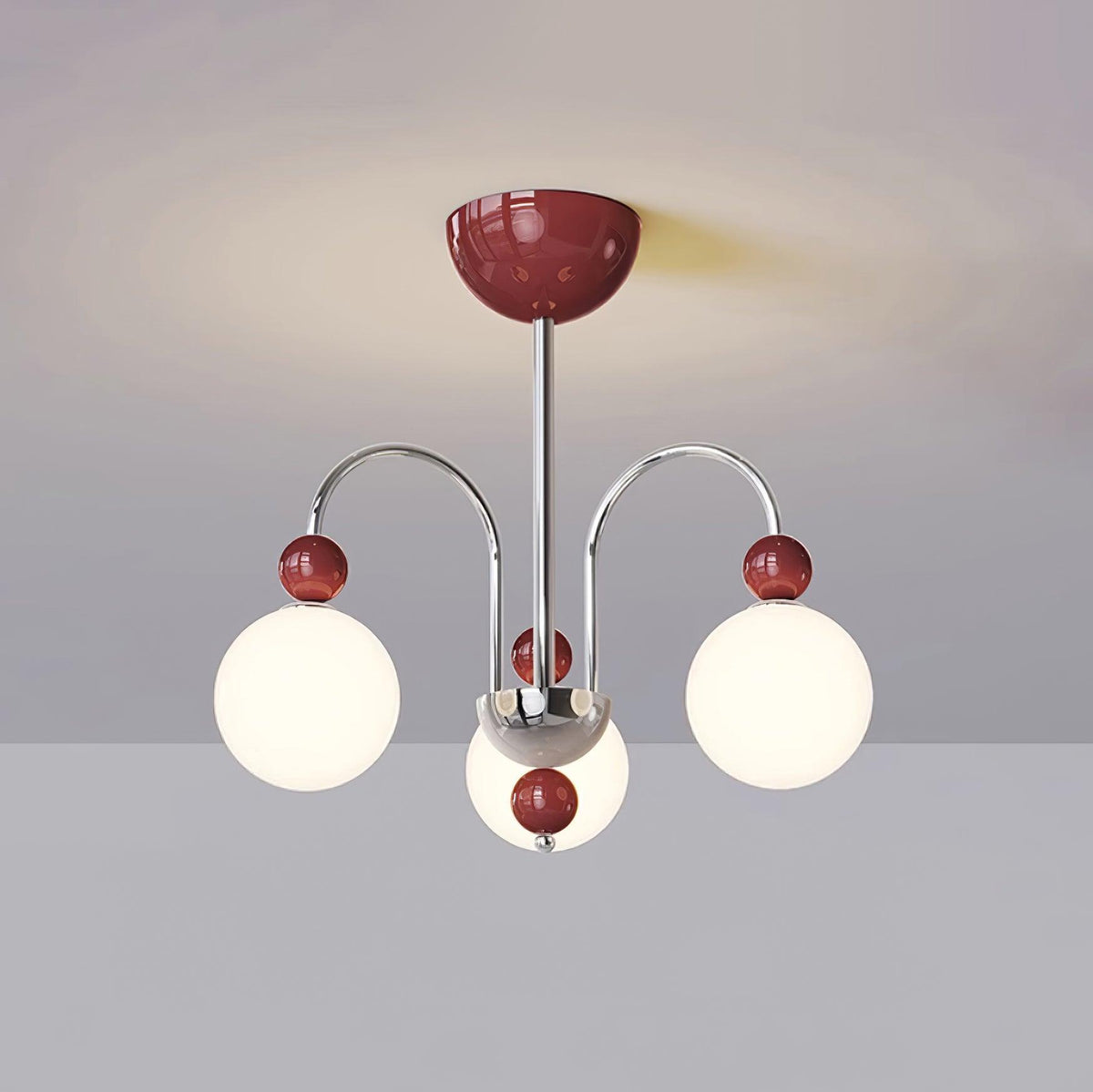 Cireraria Lustre