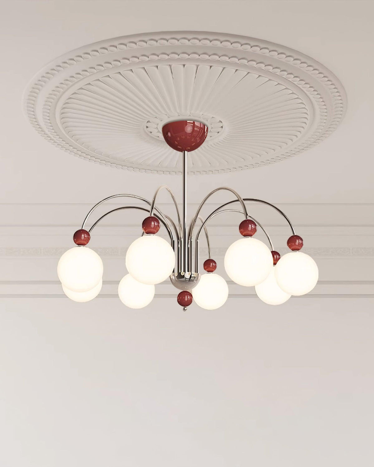 Cireraria Lustre