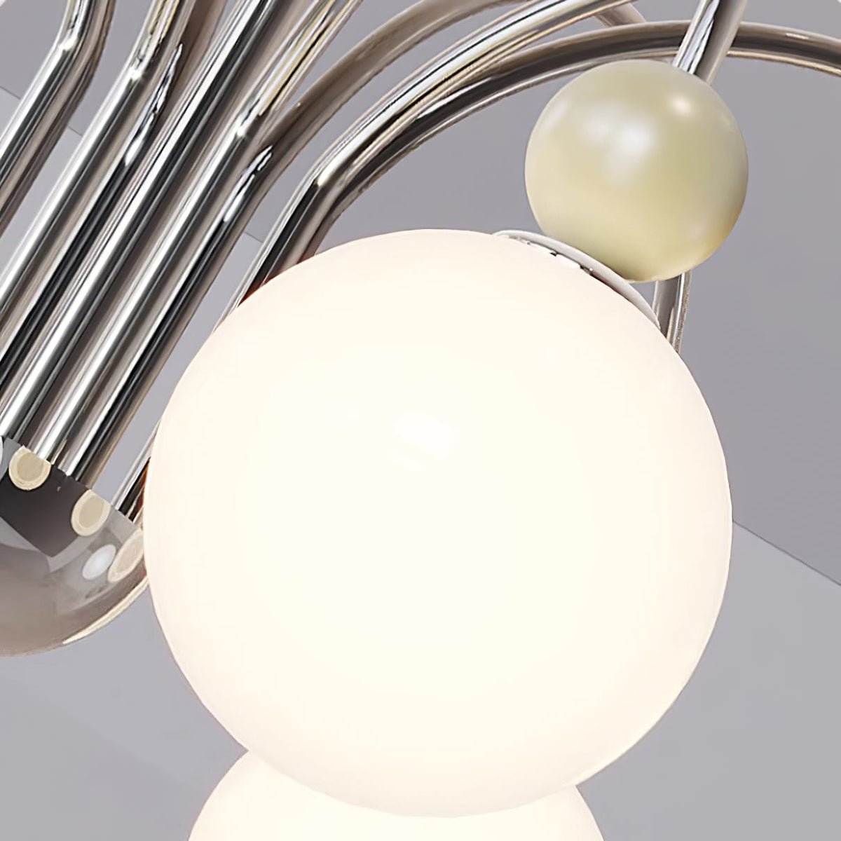 Cireraria Lustre