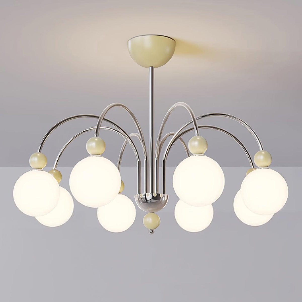 Cireraria Lustre