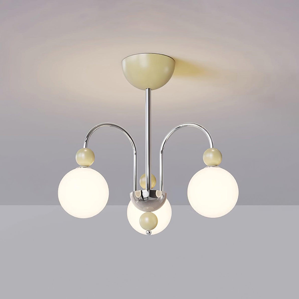 Cireraria Lustre