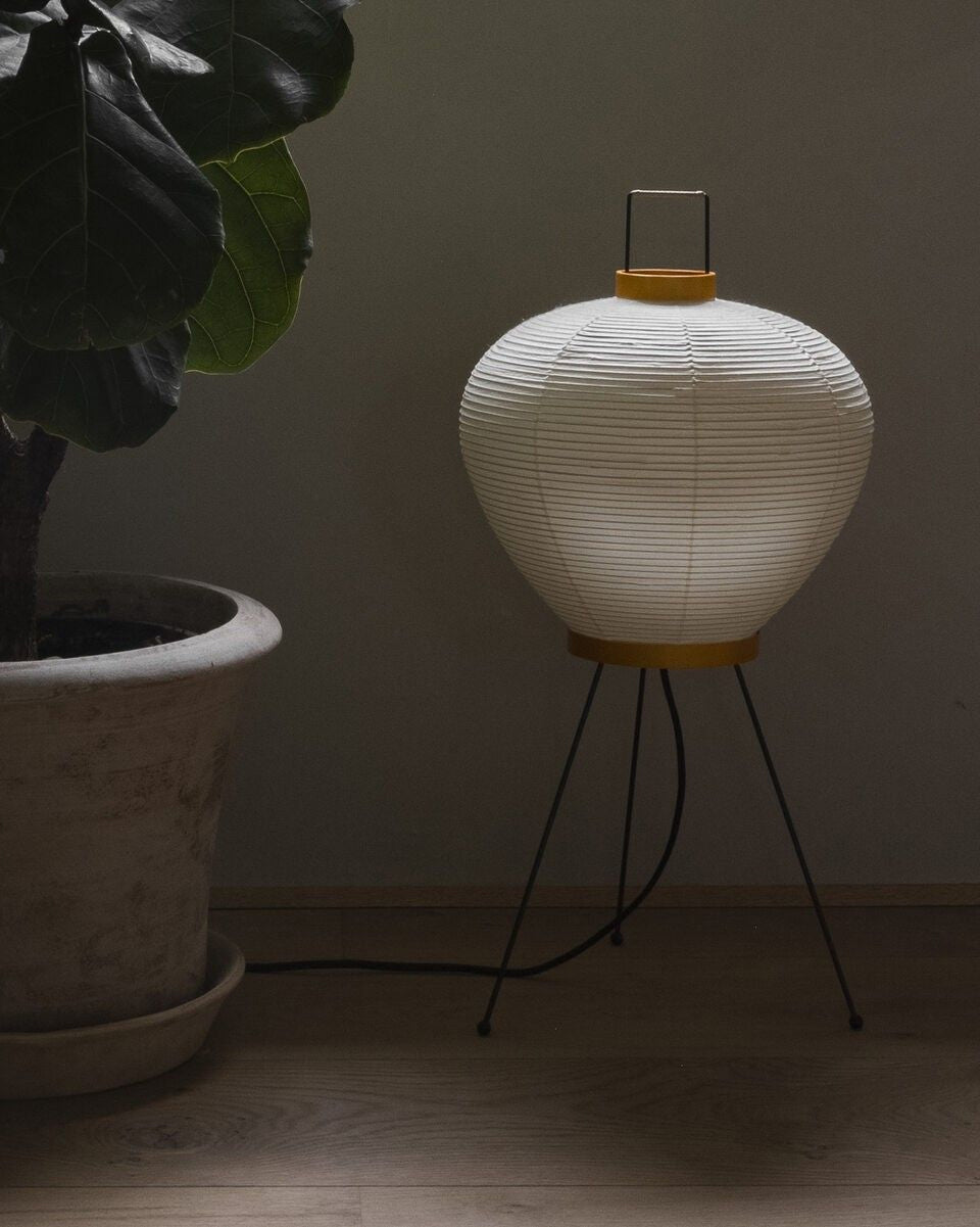 The push button switch on the lamp's power cord.