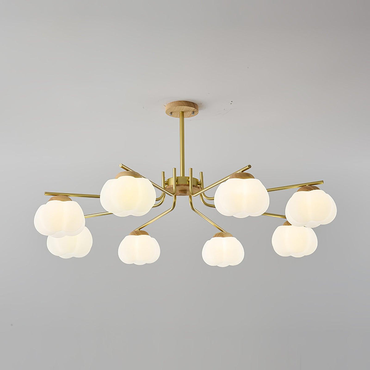 Cohen Lustre Moderne