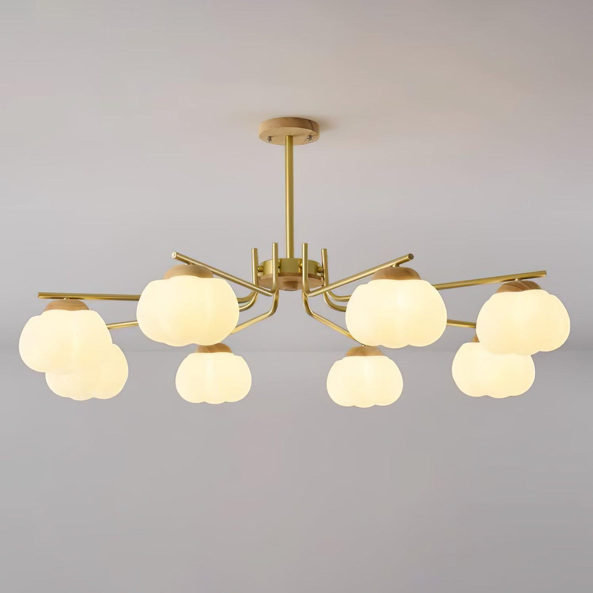 Cohen Lustre Moderne