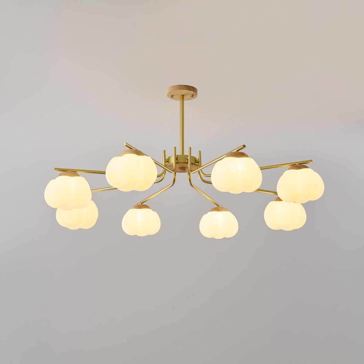 Cohen Lustre Moderne