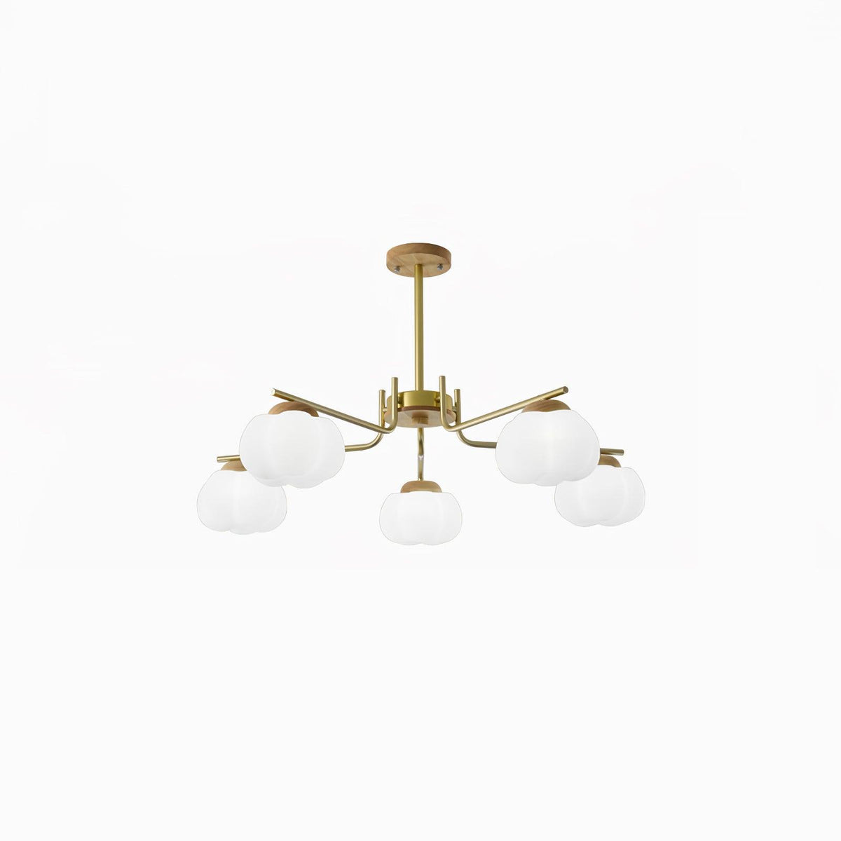 Cohen Lustre Moderne