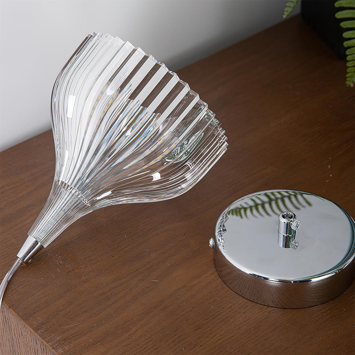 Ciraneria Suspension Flare
