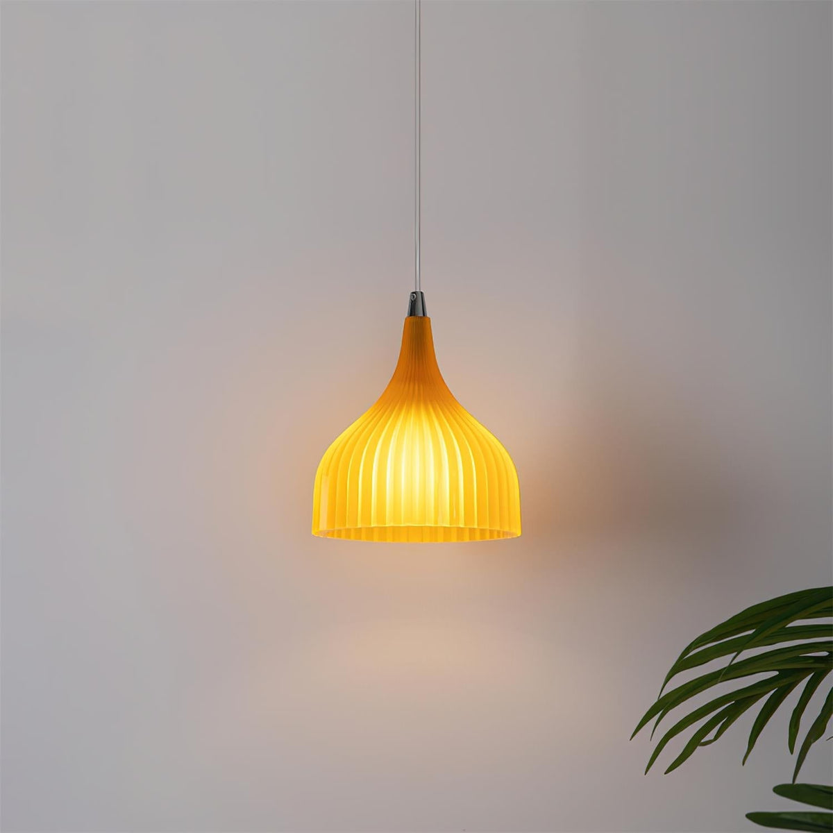 Ciraneria Suspension Flare