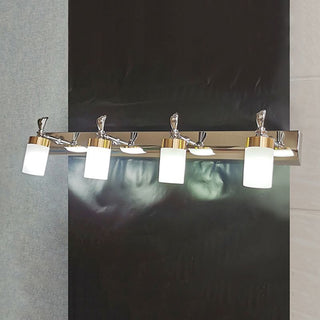 Arisha Applique Murale de Vanité Cylindrique Moderne, Métal/Acrylique, Salle de Bain