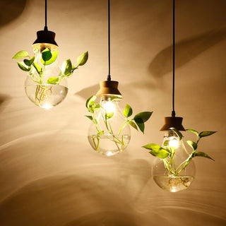 Ritta Suspension Pot de plantes-Cluster, 2 couleur/Shape, 1/3-Lumières