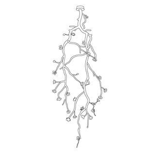 Lustra Lustre Noir Branche Fleur