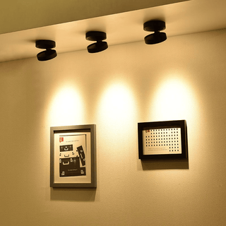 Lustra Downlight LED Rond Rotatif Ajustable