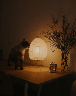 Elaris Lampe de Table Moderne en Papier de Riz