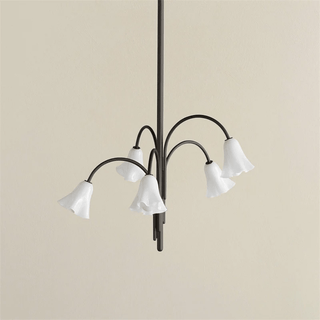 Aurora Lustre Floraison Pétale Verre Bras