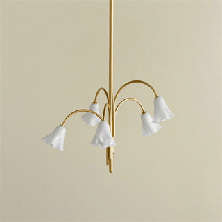 Aurora Lustre Floraison Pétale Verre Bras
