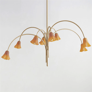 Aurora Lustre Floraison Pétale Verre Bras