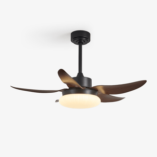 Zerith Ventilateur de Plafond Moderne en Bois avec Lumière