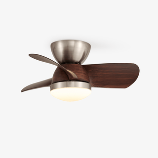 Plafonnier Ventilateur Dyms