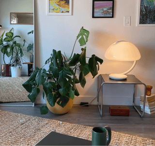 Arc Dome Table Lamp-Neutral Decor