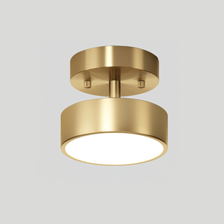 Meridian Rotatable LED Ceiling Light-Neutral Decor
