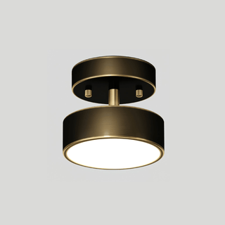 Meridian Rotatable LED Ceiling Light-Neutral Decor