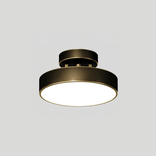Meridian Rotatable LED Ceiling Light-Neutral Decor