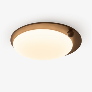 Wood Accent Ceiling Light-Neutral Decor