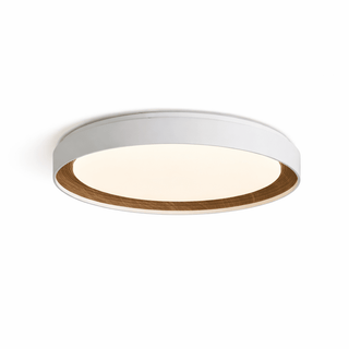 Arco Acrylic Ceiling Light-Neutral Decor