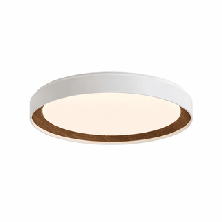 Arco Acrylic Ceiling Light-Neutral Decor