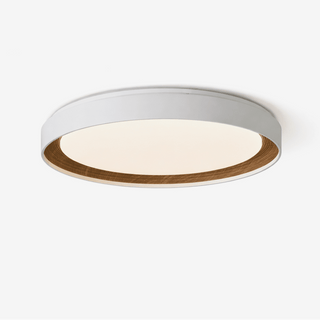 Arco Acrylic Ceiling Light-Neutral Decor