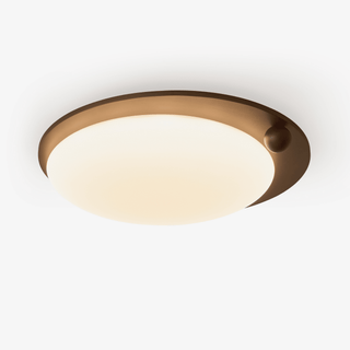 Wood Accent Ceiling Light-Neutral Decor