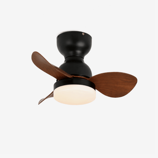 Plafonnier Ventilateur Silas