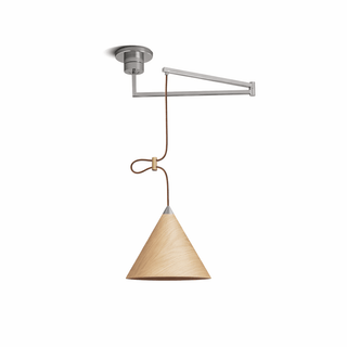 Axion Swing Pendant Lamp-Neutral Decor