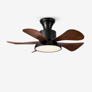 Ventilateur de Plafond Archer
