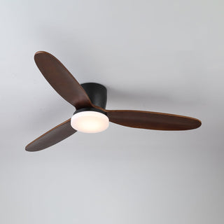 Plafonnier Ventilateur Athyrs