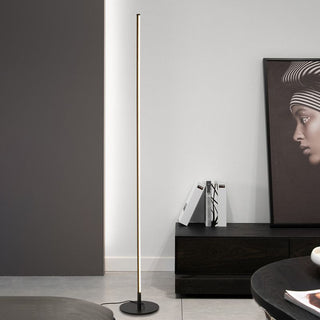Ray Simple Linéaire LED Lampadaire Or Noir Métal Gel de Silice Salon Chambre