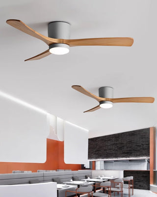 Ventilateur de plafond nordique en bois Ezra avec lumière