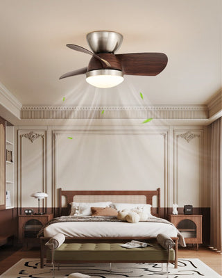 Plafonnier Ventilateur Dyms