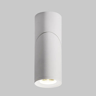 Arisha Cylindre Simple LED Plafonnier Blanc Noir Métal Salon