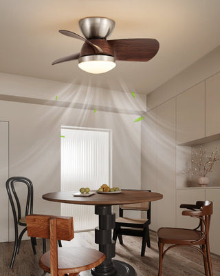 Plafonnier Ventilateur Dyms
