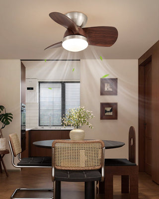 Plafonnier Ventilateur Dyms