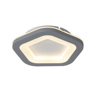Arisha Fleur Moderne LED Plafonnier Gris Acrylique Chambre à coucher